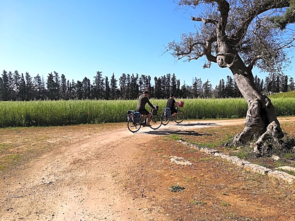 Masseria Fracchicchi