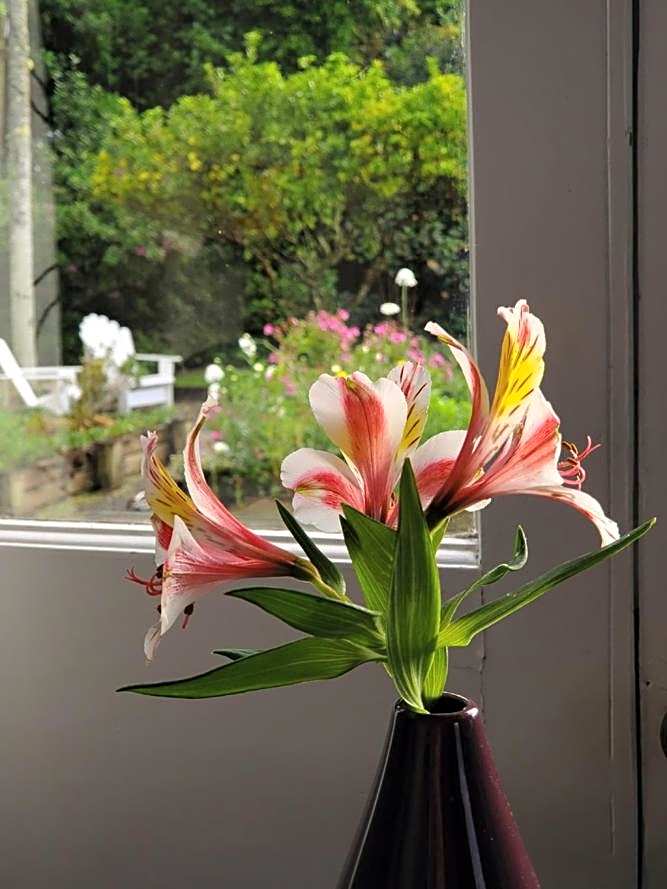 The Old Oak Boutique Hotel