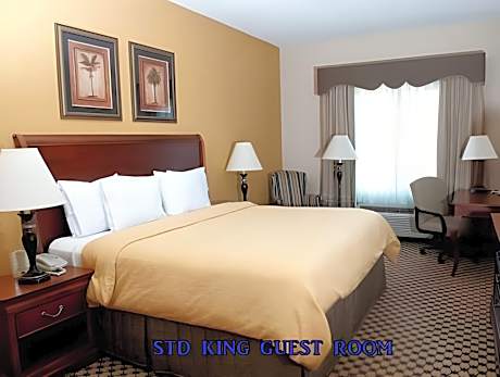 King Studio with Sofa Bed