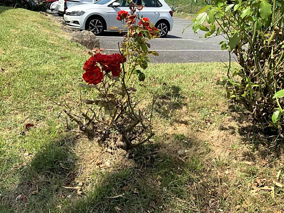 Premiere Classe Vannes