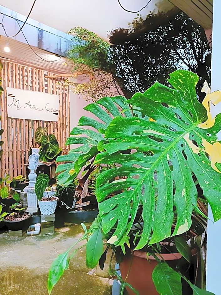 BOVII's Home Koh Larn