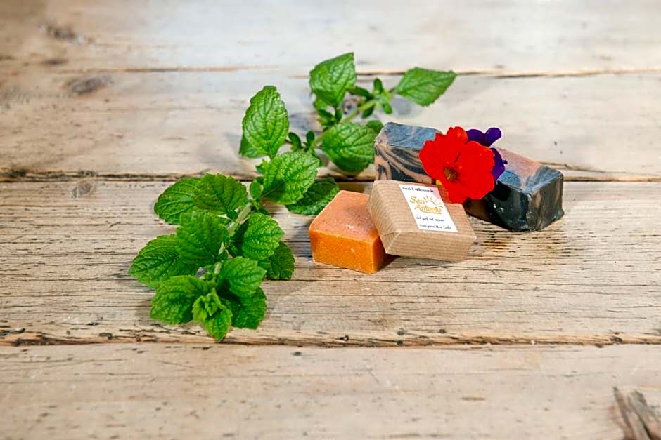 Apart Hotel San Antonio