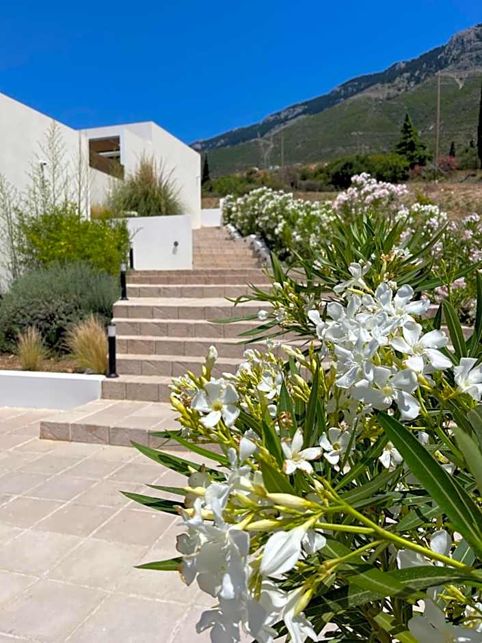 Kefalonian Escape Suites