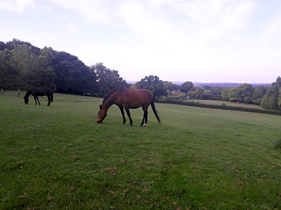 Moaps Farm B&B support small business, welcome, check in from 5 pm