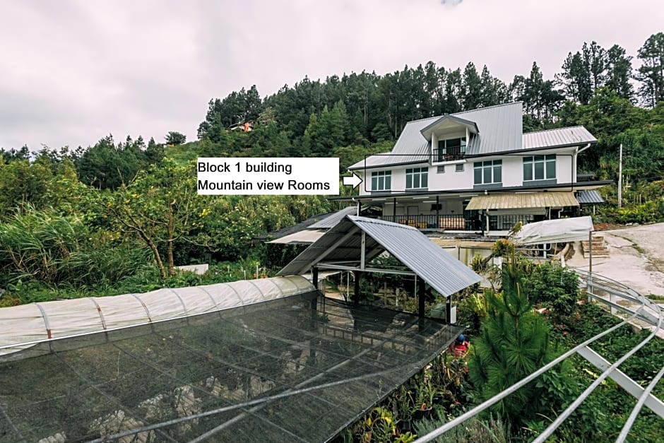 Amazing Grace Lodge