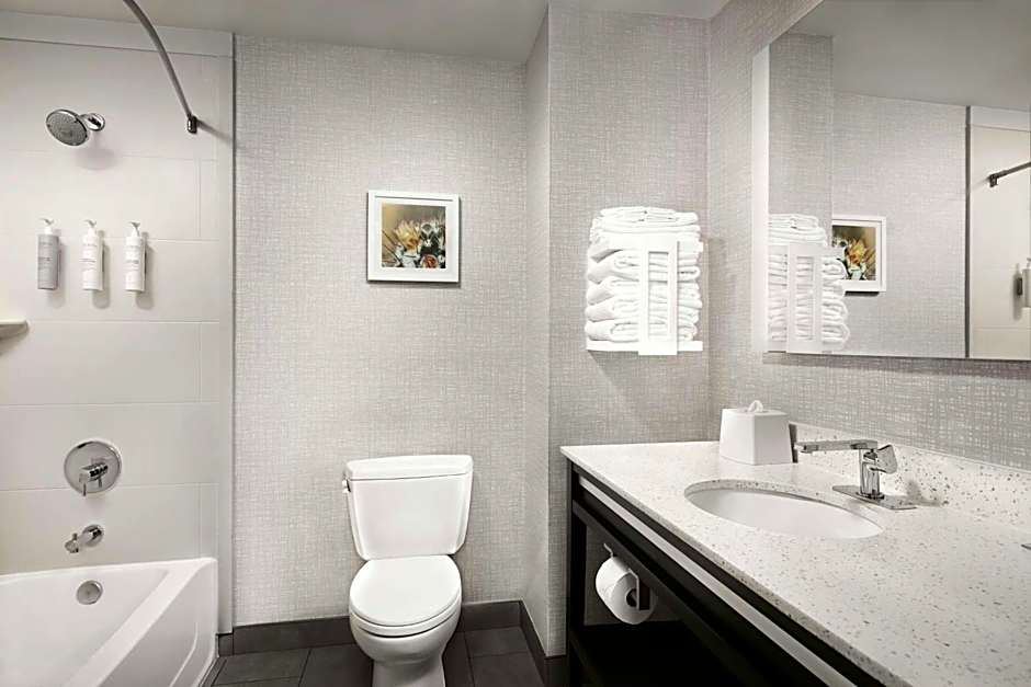 Hampton Inn By Hilton & Suites El Paso/East