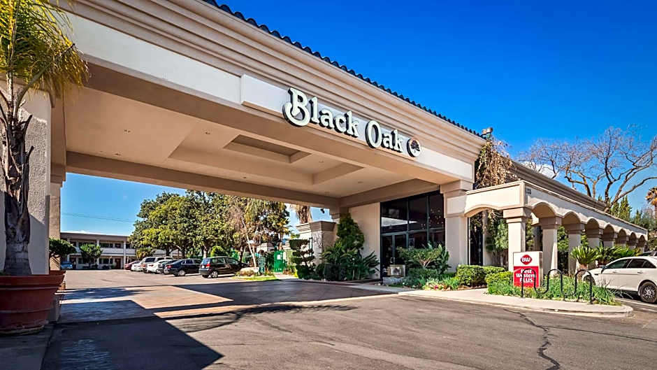Best Western Plus Black Oak