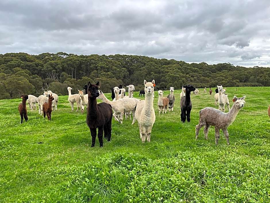 Twelve Apostles Motel & Country Retreat