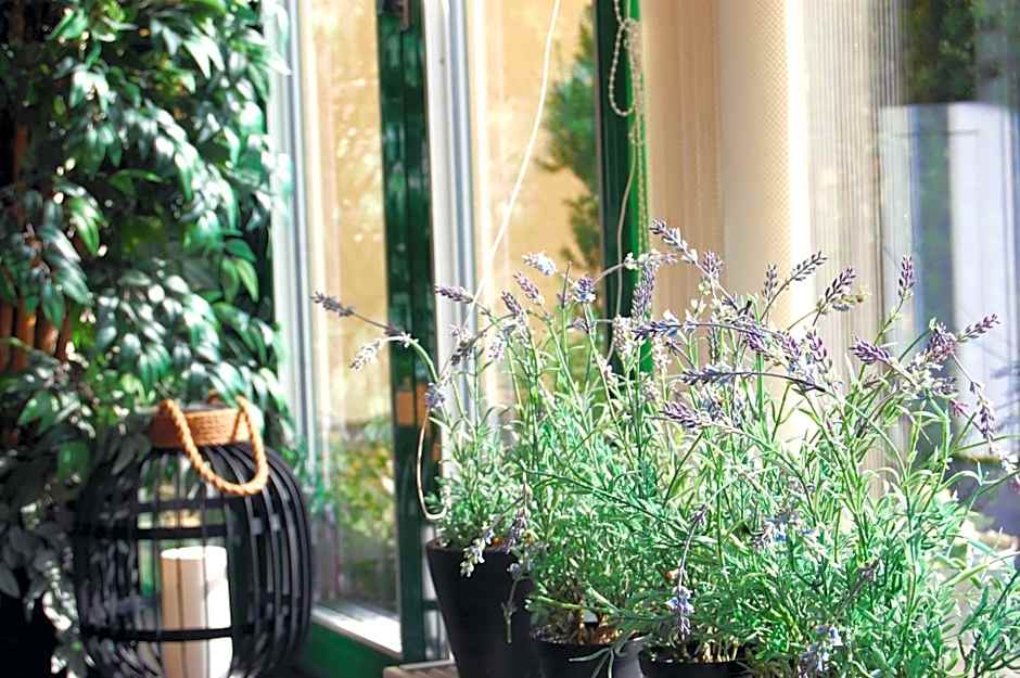 Home Hotel Bolinder Munktell