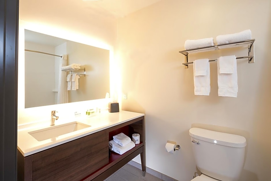 Holiday Inn & Suites - Detroit - Troy, an IHG Hotel