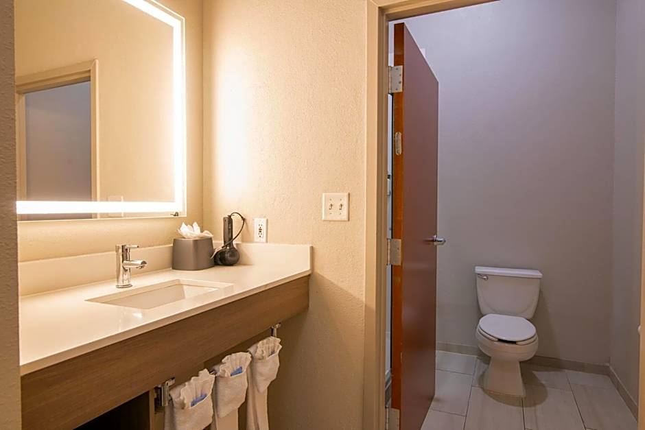 Holiday Inn Express & Suites College Station by IHG