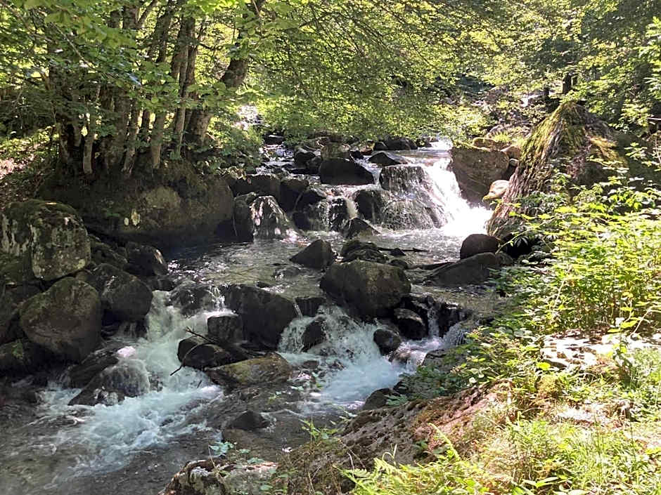 Le château brangoly