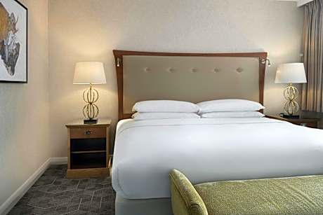 1 Bedroom Suite, Suite, 1 King, Sofa bed