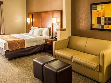 1 King Bed, Suite, Nonsmoking
