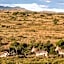 Mount Camdeboo Private Game Reserve by NEWMARK