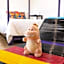 Hotel Suculenta Boutique