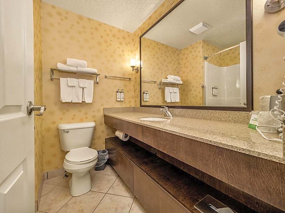 Holiday Inn Lethbridge By IHG
