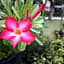 Ruby Nusa Dua Bali