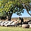 Cheetah Ridge Lodge
