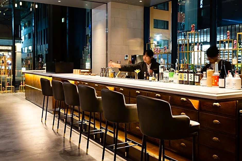 The Royal Park Canvas Ginza 8