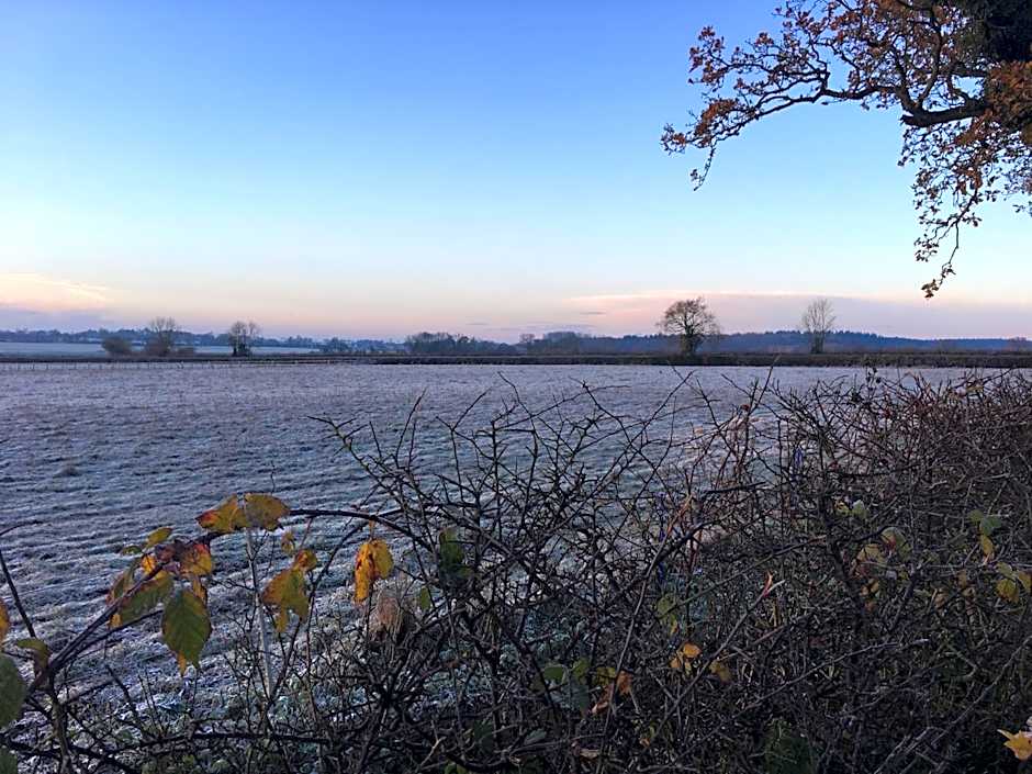 the Orangery - BnB Suites