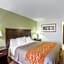 Comfort Inn Franklin Highway 96