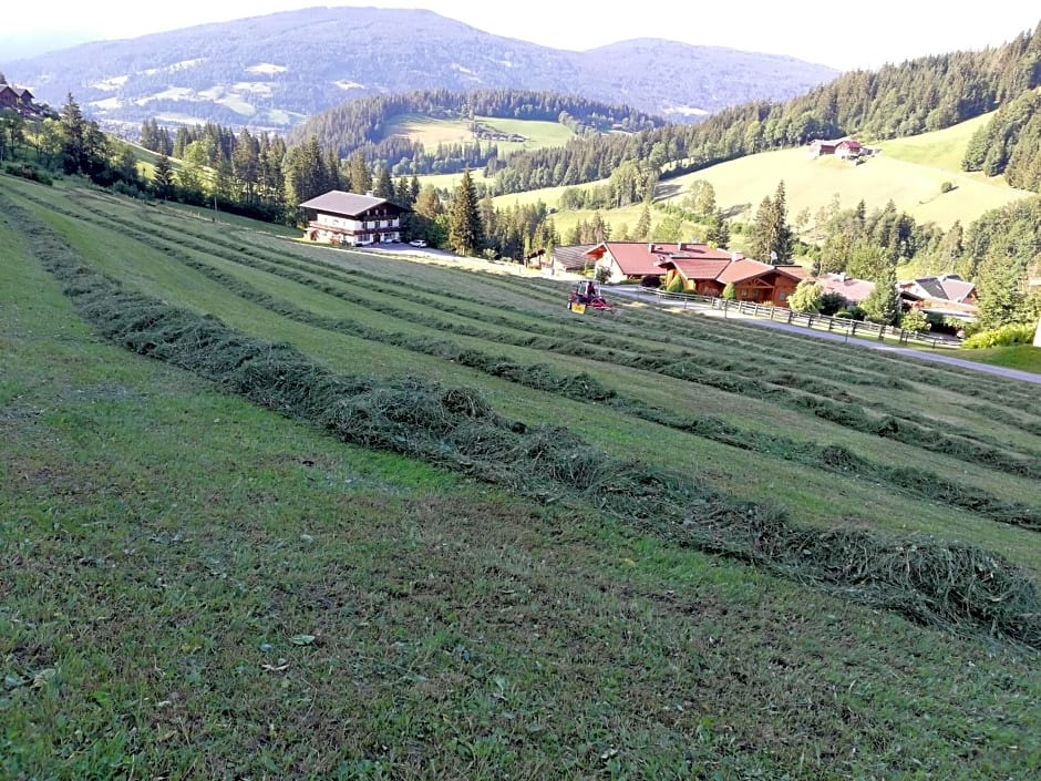 Vorderwiesgut – Altenmarkt, MN