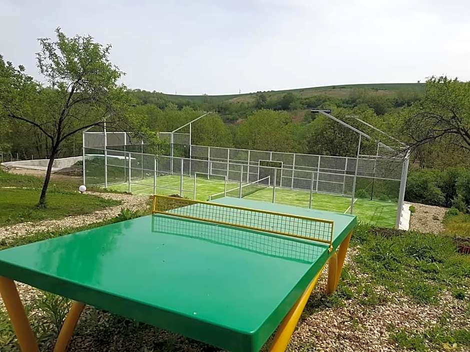 Reichau Transilvania