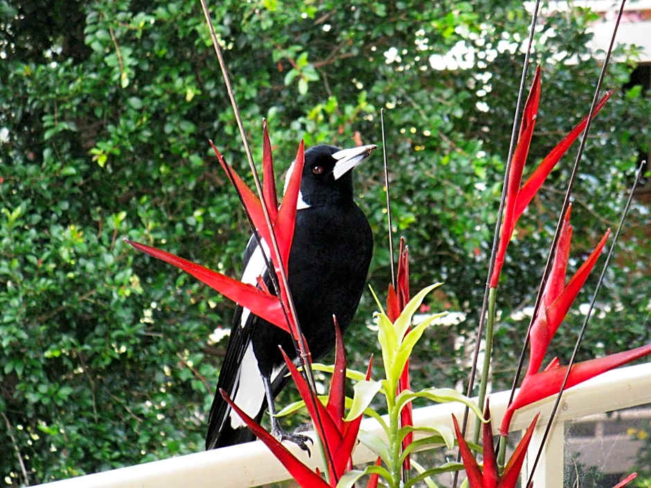 Edgewater Holiday Park