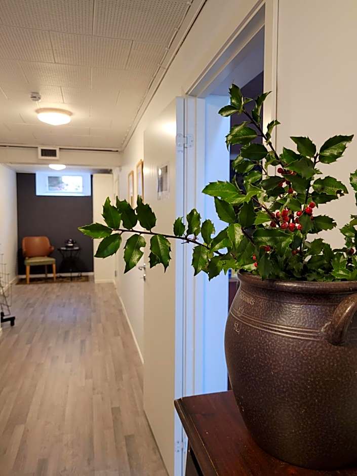 Bokskogens Guesthouse