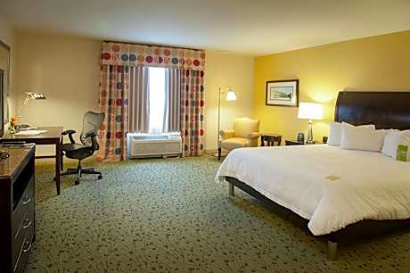 1 King Bed Junior Suite With Sofabed