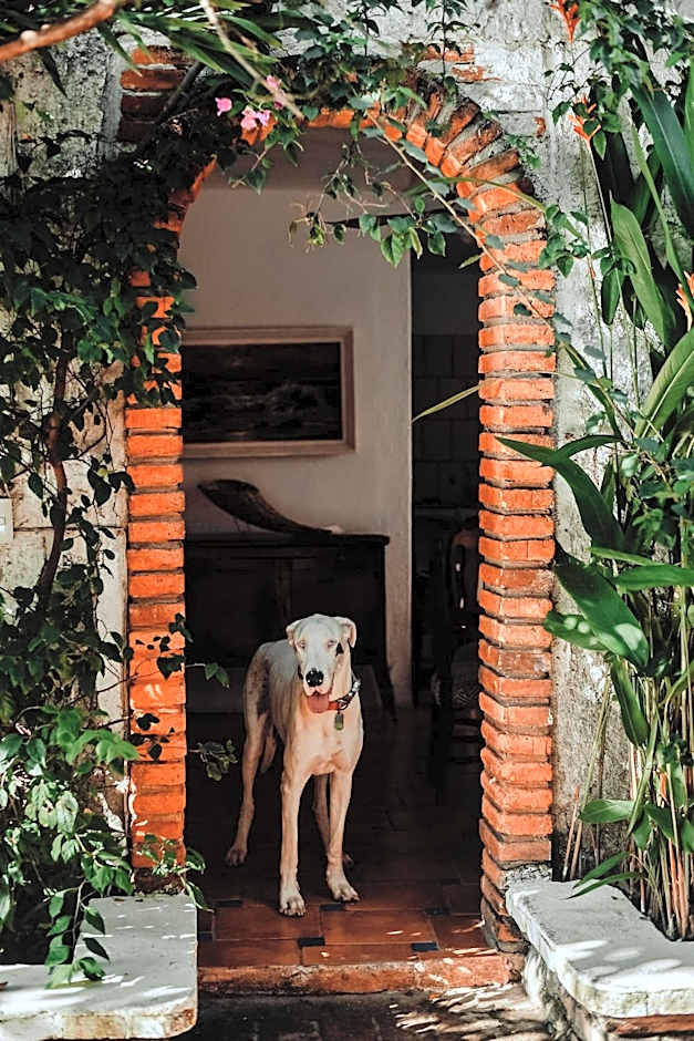 Hosteria Chata Adults Only