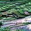 BATAD CRISTINA'S Main Village INN & Restaurant