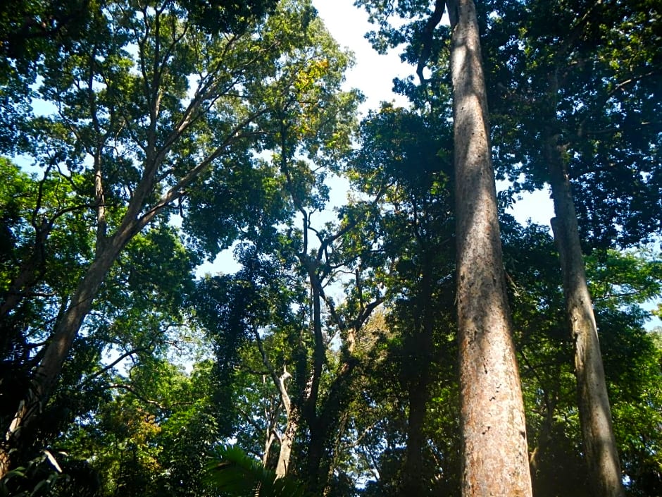 Budaya Kaki Rinjani