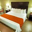 Hotel Plaza Calzada
