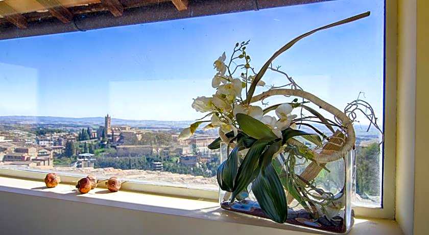 Rinidia - Siena Centro