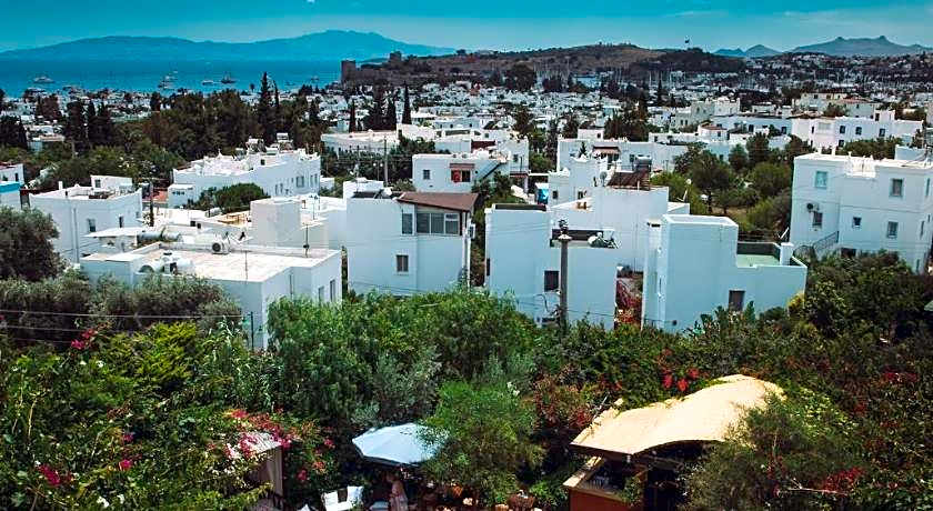 El Vino Hotel Suites