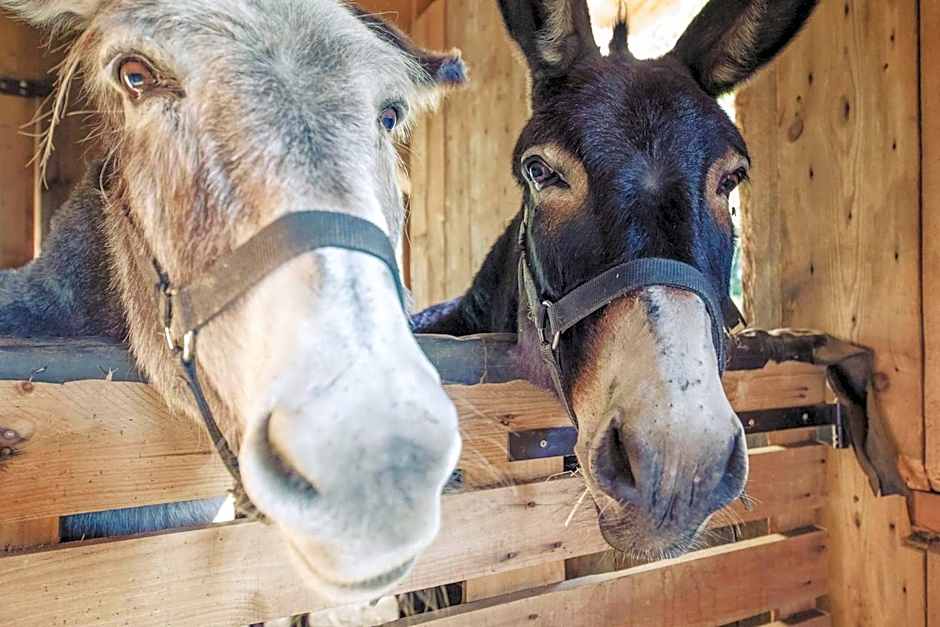 Le Marie Lydie - Chambre d'hôte