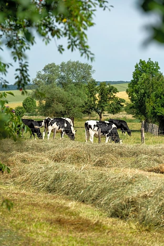 la grange aux hirondelles