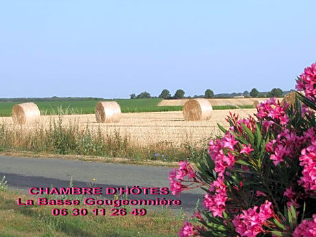 Chambre D'hôtes La Basse Gougeonnière