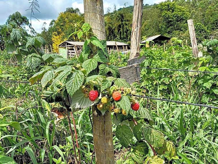 Pousada Ilhas Do Sol
