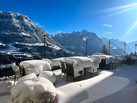 Hotel und Naturhaus Bellevue