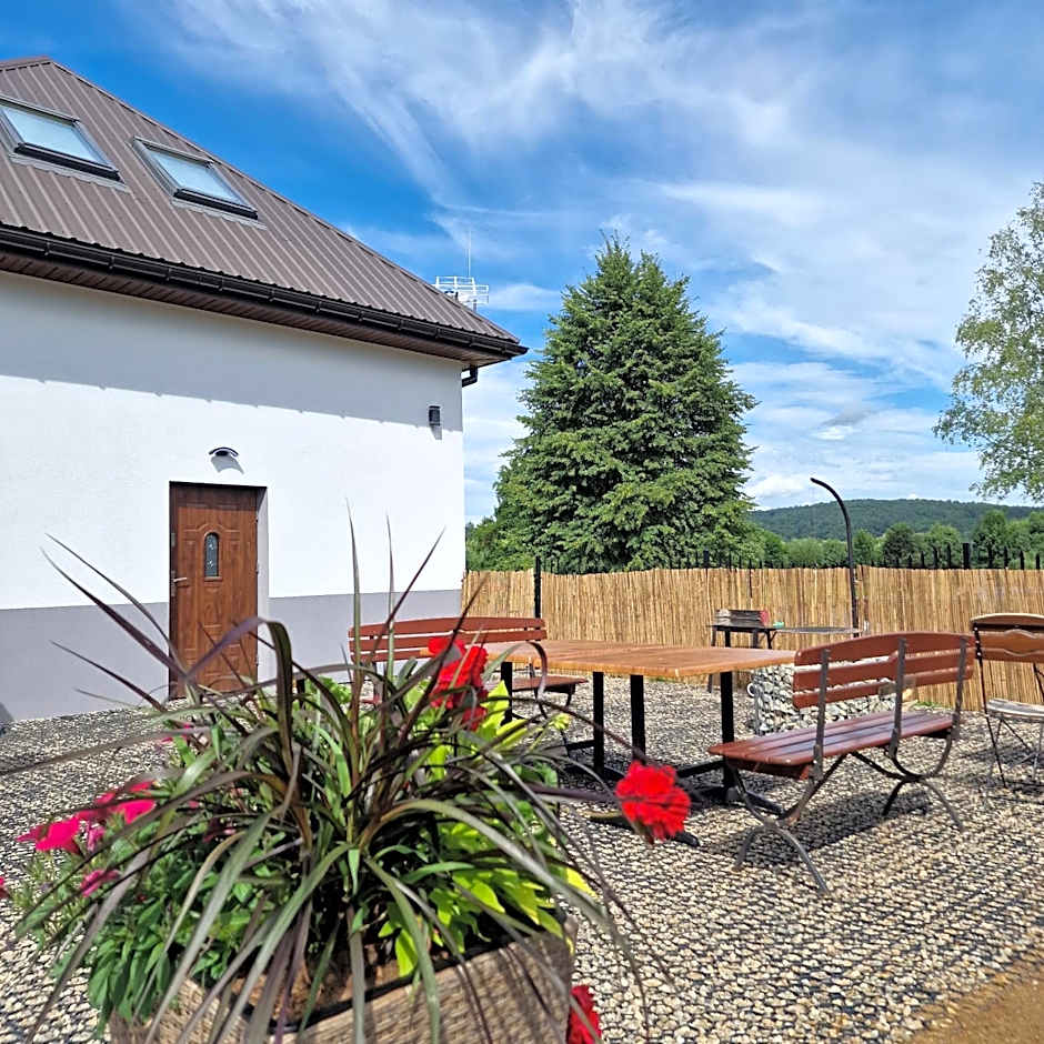 Przystań nad Sanem z widokiem na góry i rzekę