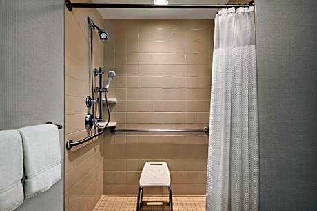 Suite, 1 Bedroom (1 King Bed and 1 Double Sofa Bed)