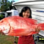 Flying Fish Point Tourist Park
