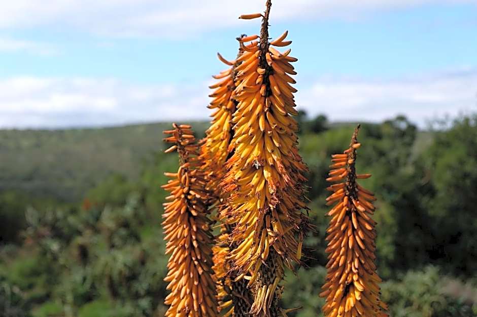 Seven Fountains Farm
