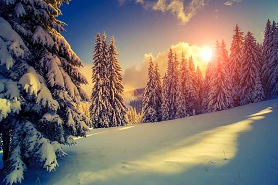 Sackmann Genuss und Spa Resort