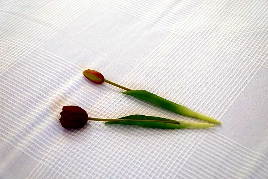 Balconcino sugli Ulivi