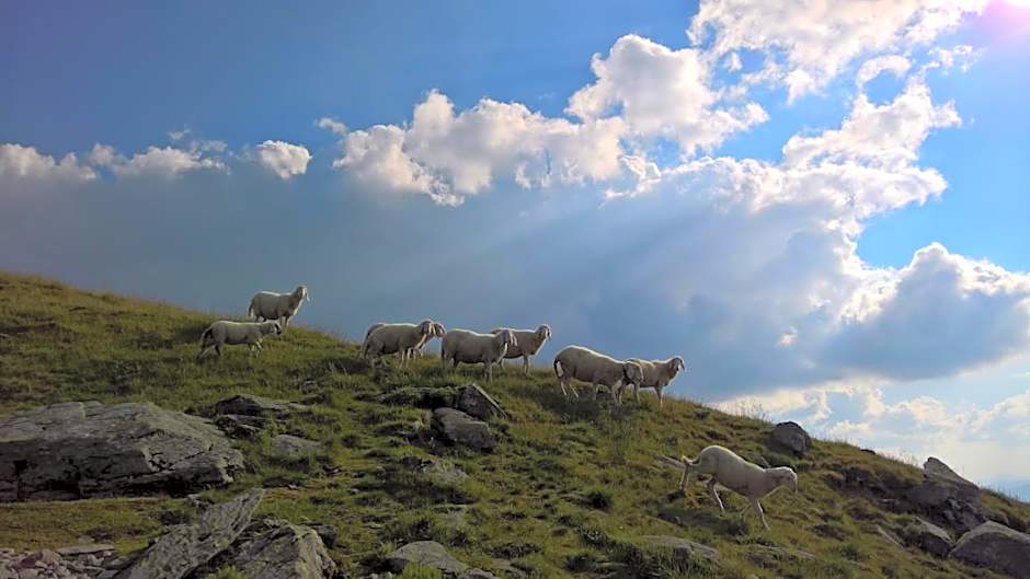 Gästehaus Pürstl-Kocher