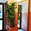 Hotel Chopin